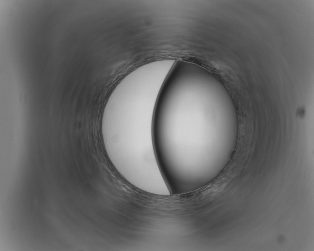 X0000095960768200801110946
