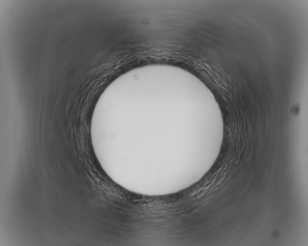 X0000095960769200801110945
