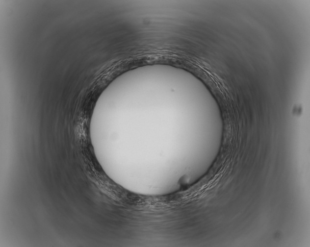 X0000095960770200801110945