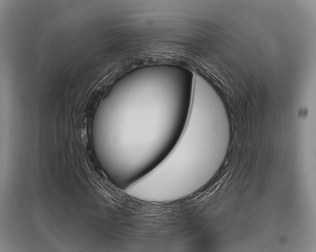 X0000095960771200801110945