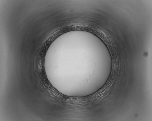 X0000095960774200801110945