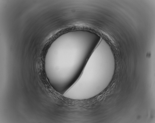 X0000095960776200801110945