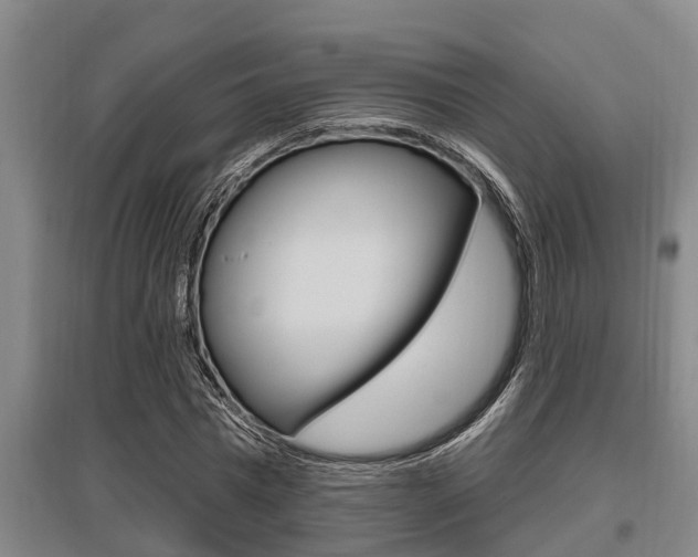 X0000095960777200801110945