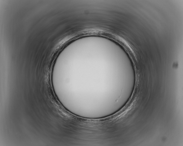 X0000095960778200801110945