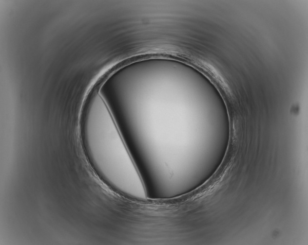 X0000095960780200801110945