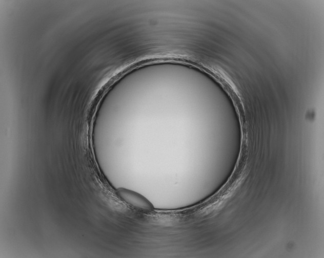 X0000095960781200801110945