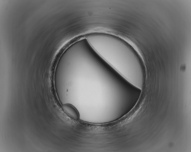 X0000095960783200801110945