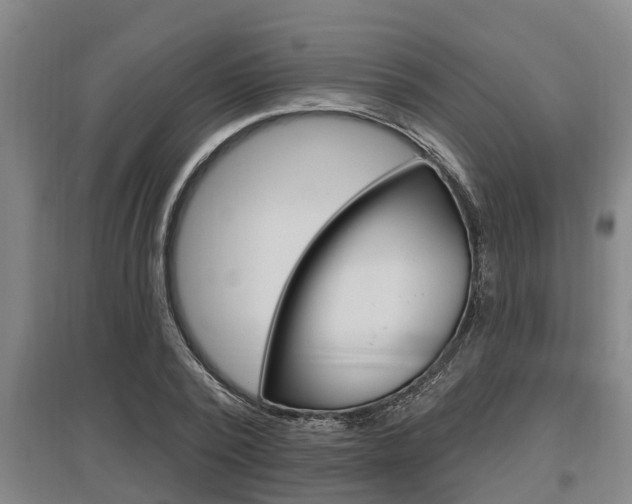 X0000095960784200801110945