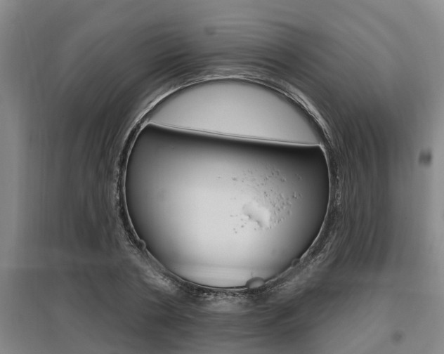 X0000095960786200801110945