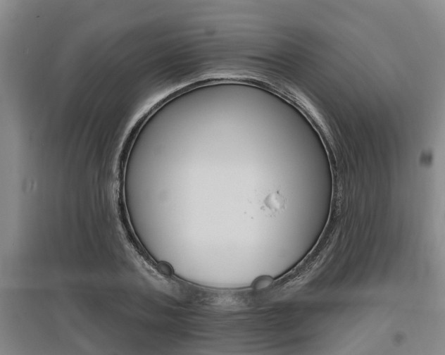 X0000095960787200801110945