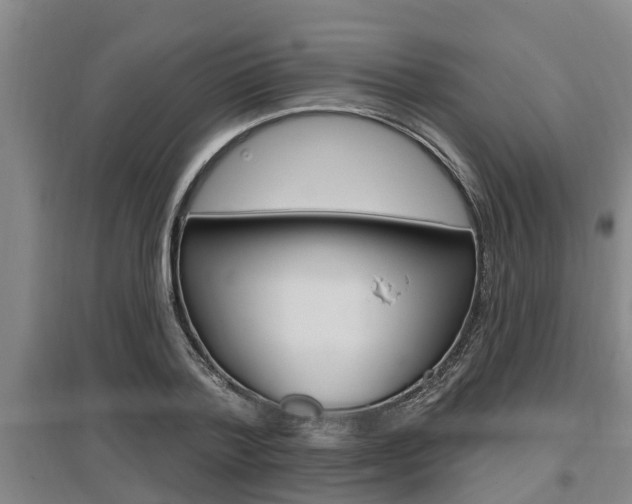 X0000095960788200801110945