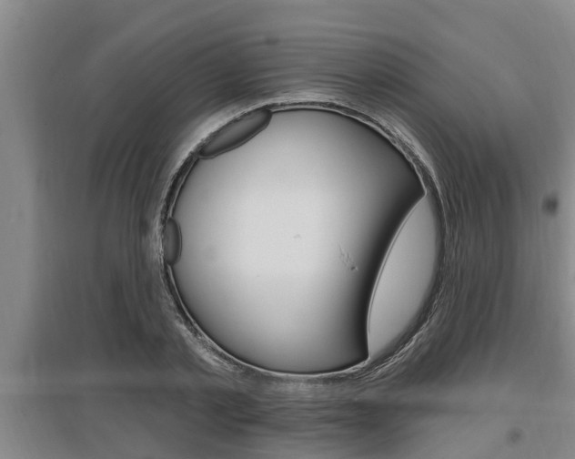 X0000095960789200801110945
