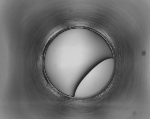 X0000095960790200801110945