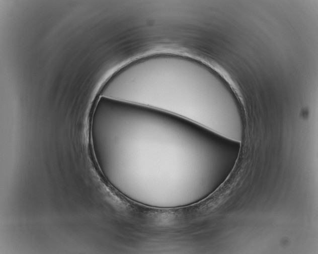 X0000095960791200801110945