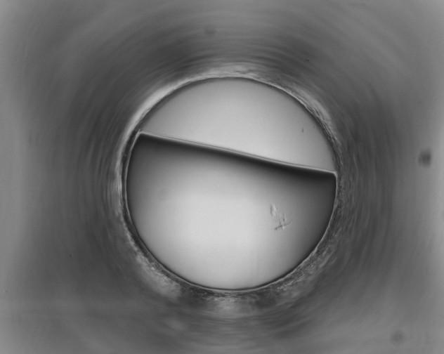 X0000095960792200801110945