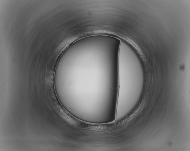 X0000095960793200801110945