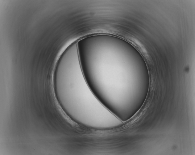 X0000095960796200801110945
