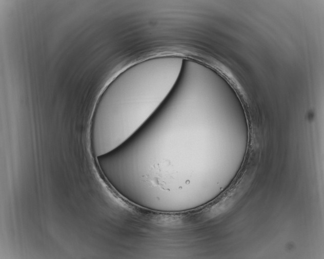 X0000095960802200801110945