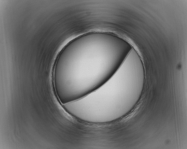 X0000095960803200801110945