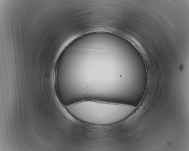 X0000095960804200801110945