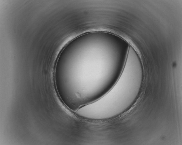 X0000095960805200801110945