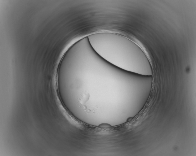 X0000095960811200801110945