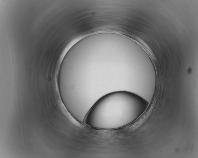 X0000095960812200801110945