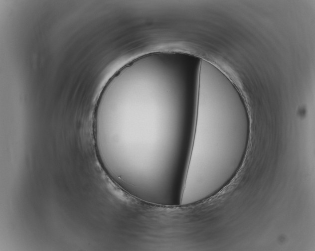 X0000095960816200801110945