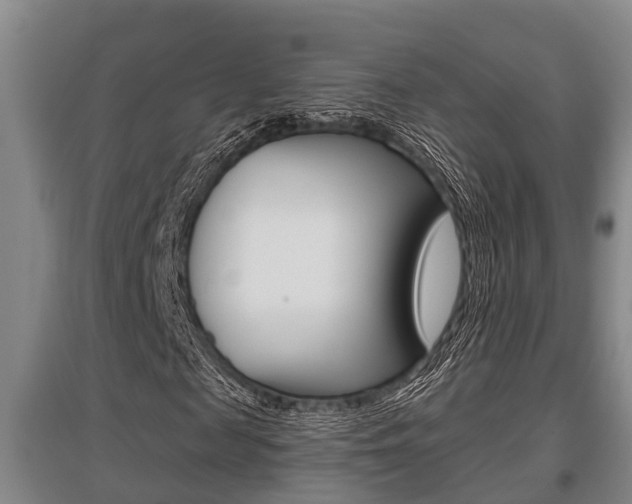 X0000095960817200801110944