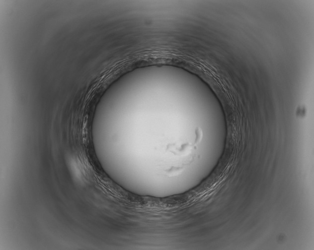 X0000095960818200801110944
