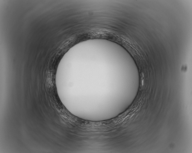 X0000095960819200801110944