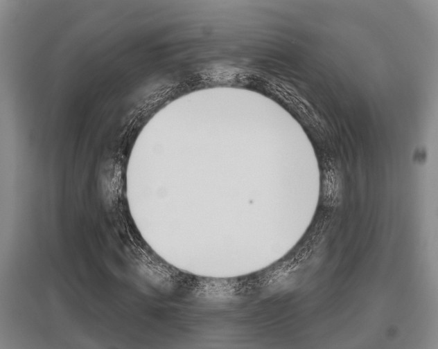 X0000095960820200801110944