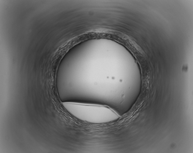 X0000095960821200801110944