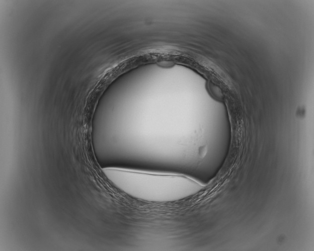 X0000095960822200801110944