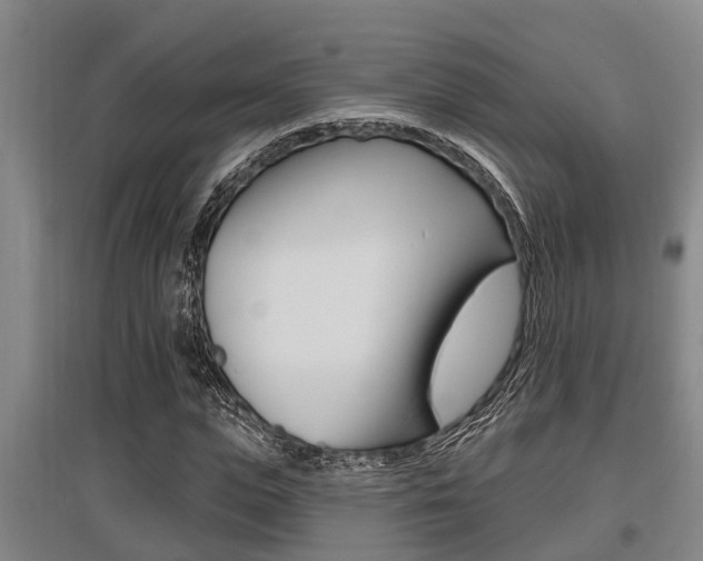 X0000095960823200801110944