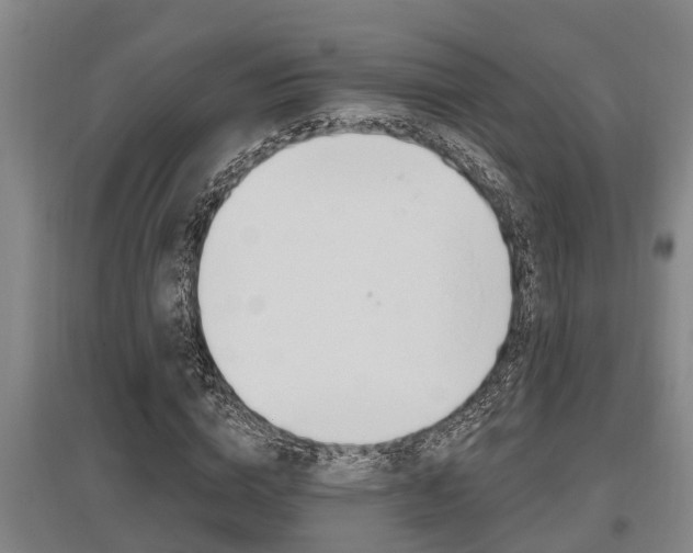 X0000095960824200801110944