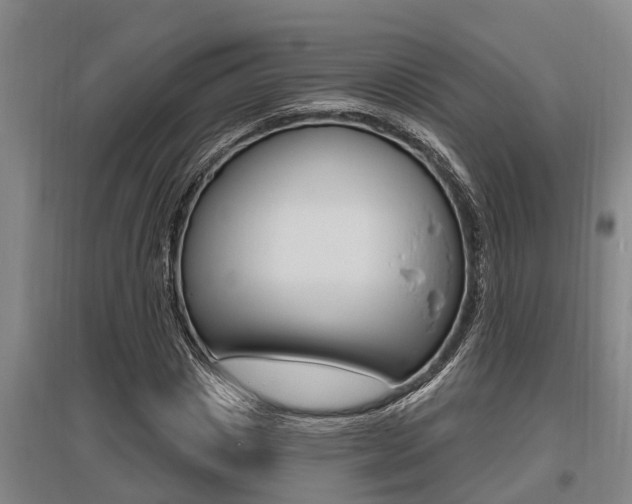X0000095960825200801110944