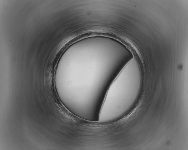 X0000095960829200801110944