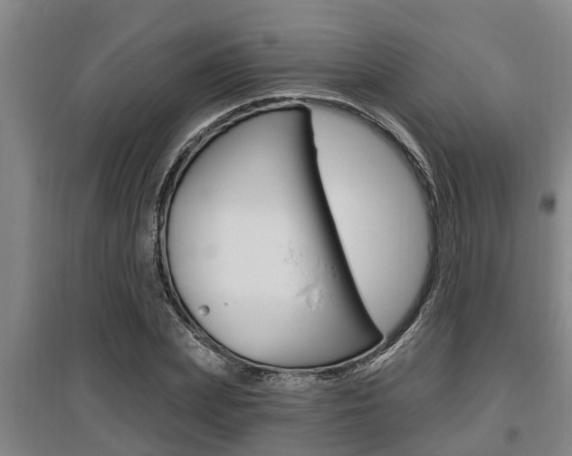 X0000095960831200801110944