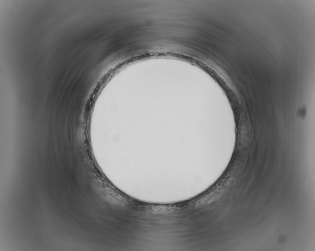 X0000095960832200801110944