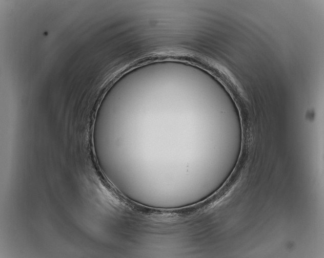 X0000095960833200801110944