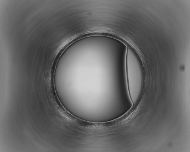 X0000095960834200801110944