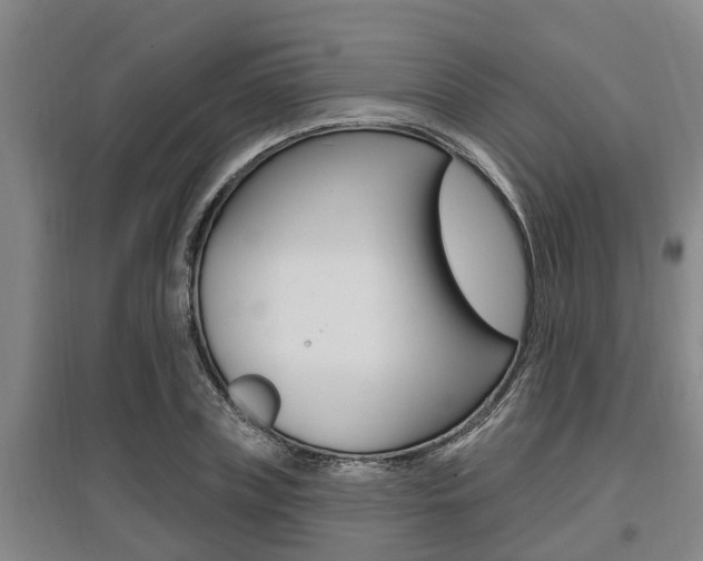X0000095960835200801110944