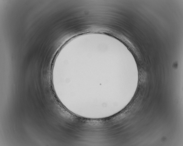 X0000095960836200801110944