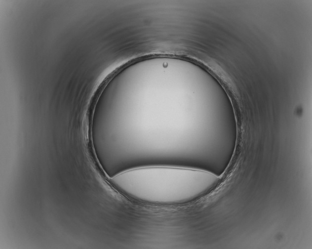 X0000095960838200801110944