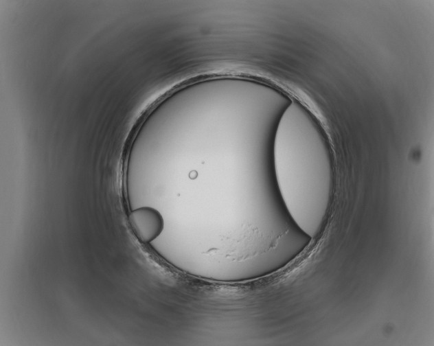 X0000095960839200801110944
