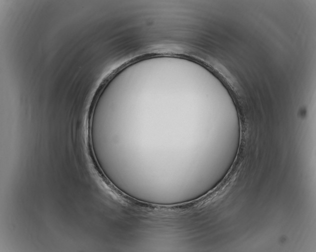 X0000095960840200801110944