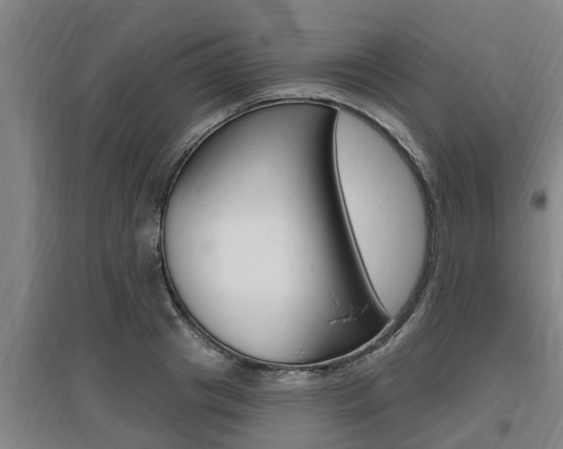 X0000095960841200801110944