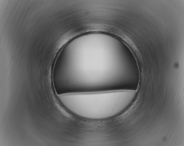X0000095960842200801110944