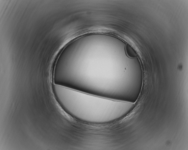 X0000095960843200801110944